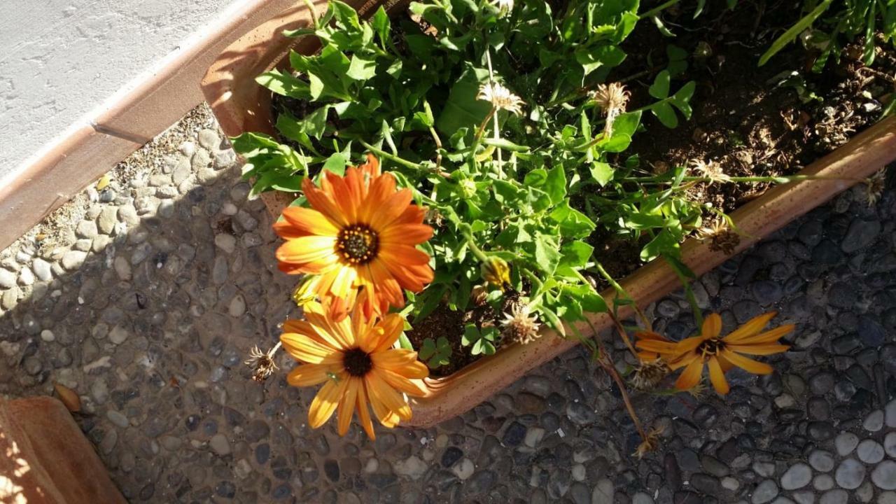 Sul Mare Apartamento